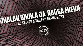 Jhalak Dikhla Ja  Ragga MieurDJ Selven x TRILESH Remix 2023 [upl. by Debbie297]