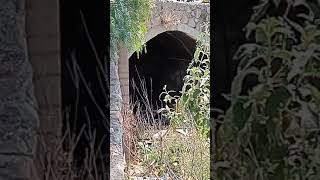 Camino hacia el lago donde se ahogaron los 3 hermanitos paranormal fresnillo zacatecas [upl. by Oconnor406]