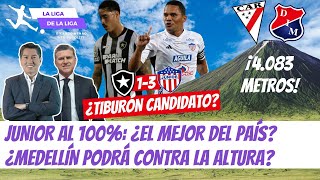 ¿El Fútbol de Junior vs Botafogo lo Hace Candidato ¿Medellín Podrá vs Always Ready LaLigaDeLaLiga [upl. by Alek187]