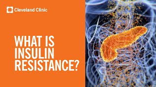 What Is Insulin Resistance [upl. by Nyladnar]