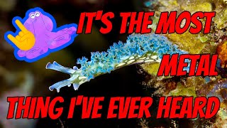 These Sea Slugs EAT SUNLIGHT and RIP THEIR OWN HEADS OFF 🤘🔥🤘  Alien Ocean [upl. by Ymor]