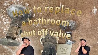 How to replace a bathroom shut off valve [upl. by Hoppe]