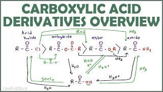 Carboxylic Acid Derivatives Overview and Reaction Map [upl. by Gupta]