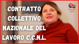 Contratto collettivo nazionale del lavoro  CCNL [upl. by Icam]