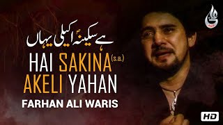 Farhan Ali Waris  Hai Sakina Akeli Yahan  Noha  2013 [upl. by Eelesor]