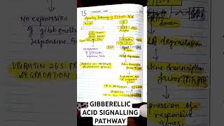 GIBBERELLIC ACID SIGNALLING PATHWAY CSIR LIFE SCIENCES BIOLOGYbiology csirnet gibbrellin msc [upl. by Sivehc338]