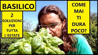 😱 GUIDA DEFINITIVA per NON FAR MORIRE IL BASILICO 😱  Tutorial Agricoltura [upl. by Lexie]