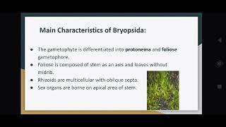 Bryopsida  Classification of Bryophytes  Botany  MSc Sem I [upl. by Aztinaj]