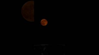 The Full Harvest Moon of September 2024  Full Moon  Light of Moon  shorts video shortvideo [upl. by Zucker]