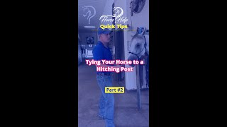 Intro To Tying Your Horse To A Hitching Post Part 2  The Horse Guru  Michael Gascon [upl. by Rellek]