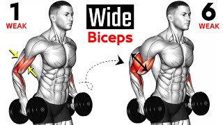 7 BEST Exercises for WIDER BICEPS [upl. by Atnoed]