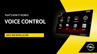 Navi 900 IntelliLink  Voice Control  Thats How It Works [upl. by Elbag229]