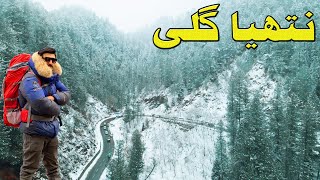 Nathia Gali amp Murre Heavy Snowfall Adventure  Snowfall In Pakistan [upl. by Ssitnerp]