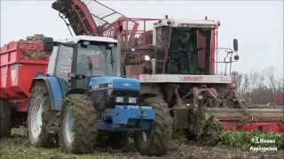 2013 Suikerbieten rooien met VERVAET LoonbTamminga Harkstede [upl. by Arrek586]