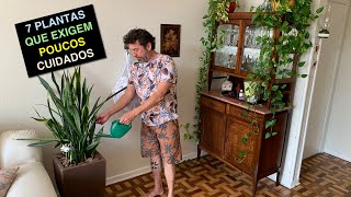 7 Plantas Para Apartamento Fáceis de Cuidar [upl. by O'Donovan]