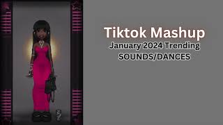 Tiktok Mashup January 2024 Popular DancesSounds [upl. by Ambie136]