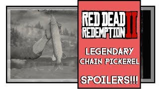 Red Dead Redemption 2 Legendary Chain Pickerel Fish Location SPOILERS [upl. by Drusilla]