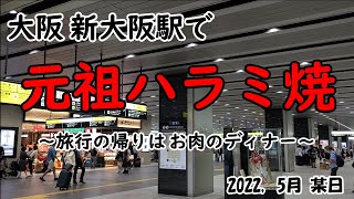 【ハラミ焼】大阪 新大阪駅 旅行帰りに美味しいディナー [upl. by Eskil500]