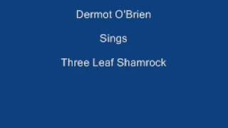 Three Leaf Shamrock  Dermot OBrien  Lyrics Underneath [upl. by Ahsemak]