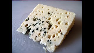 HOW TO MAKE DANISH BLUE CHEESE  BY CRAZY HACKER [upl. by Ahsieat406]