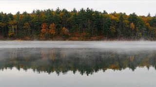 Nature Walden Pond [upl. by Anina]