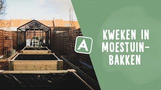 Kweken in moestuinbakken zo doe je dat I Angelo Dorny [upl. by Charlton]