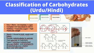 Classification of Carbohydrates in HindiUrdu  Biomolecules [upl. by Emmett]