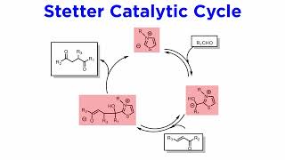 Stetter Reaction [upl. by Tiduj]