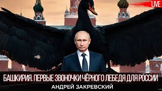 Башкирия Первые звоночки чёрного лебедя для России Андрей Закревский и Юрий Романенко [upl. by Novad506]