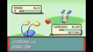 POKEMON EMERALD  CHINCHOU  ATRACCIÓN  ATTRACT [upl. by Aikkan898]