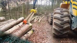 Windwurfaufarbeitung im Odenwald [upl. by Abott]