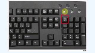 How to Turn on the Numeric Pad  Computer Skills amp Functions [upl. by Tapes469]