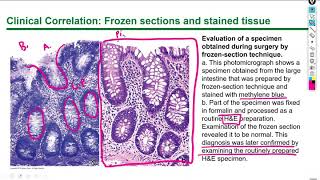 Histology Lecture 1 Chapter 1 [upl. by Enelyak53]