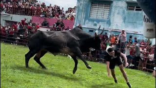 Toros en Tlacotalpan Veracruz fiestas de la Candelaria 2024 [upl. by Siobhan]