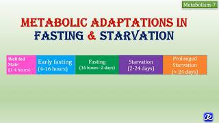 8Metabolic adaptations in Fasting amp Starvation  Metabolism8  Biochemistry [upl. by Ephram]