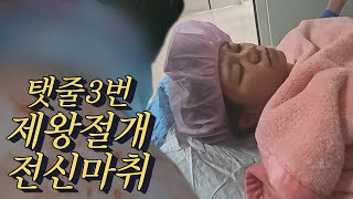 38주0일 전신마취 제왕절개 후기하반신마취보다 전신마취가 더 좋은이유출산vlog이대서울병원전신만취제왕절개자연분만 [upl. by Niwdla589]