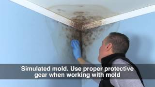 How To Apply Zinsser Mold Killer [upl. by Torray]