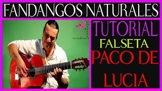 FANDANGOS NATURALES FALSETA PACO DE LUCIA TUTORIAL quotFACILquot POR MEDIO [upl. by Magnien111]