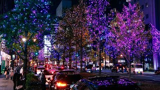 Osaka Japan 🇯🇵 Christmas Festival of Lights 🎄 Midosuji Illumination  Walking Tour 4K [upl. by Aissat]