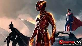 The Flash Movie Review [upl. by Aelat]