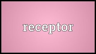 Receptor Meaning [upl. by Roma914]