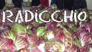 What is Radicchio  Grilled Radicchio Salad Recipe [upl. by Cherie]