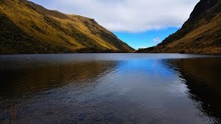 Documental El Agua de los Paramos y bosques de neblina [upl. by Edouard140]