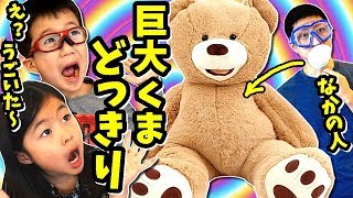 ぬいぐるみの中に入って 巨大 くまちゃん ドッキリ🐻😜 仕掛けてみたら、やっぱり・・😂 もしも、パパがいつもかわいいクマちゃんだったら💗😍 [upl. by Necyrb700]