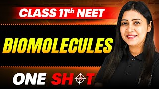 Biomolecules IN ONE SHOT  Full Concepts amp PYQ  Zoology  NEET Class 11th [upl. by Eitra460]