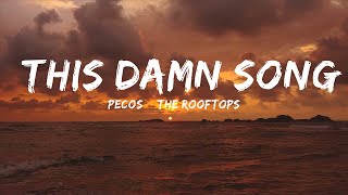 Pecos amp The Rooftops  This Damn Song Lyrics  25min Top Version [upl. by Gnilyam]