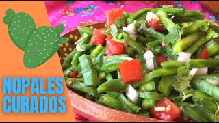 Ensalada de NOPALES CURADOS EN SAL [upl. by Macmullin39]