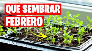 QUE SEMBRAR en FEBRERO Calendario de Siembra  TAREAS  La Huerta de Ivan 🌱 [upl. by Stilwell]