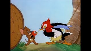 Tom and Jerry  Hatch Up Your Troubles 1949 [upl. by Acenom]