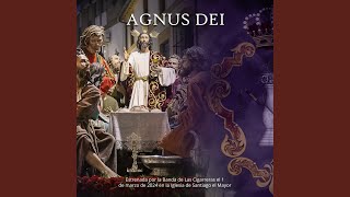 Agnus Dei [upl. by Intyrb]